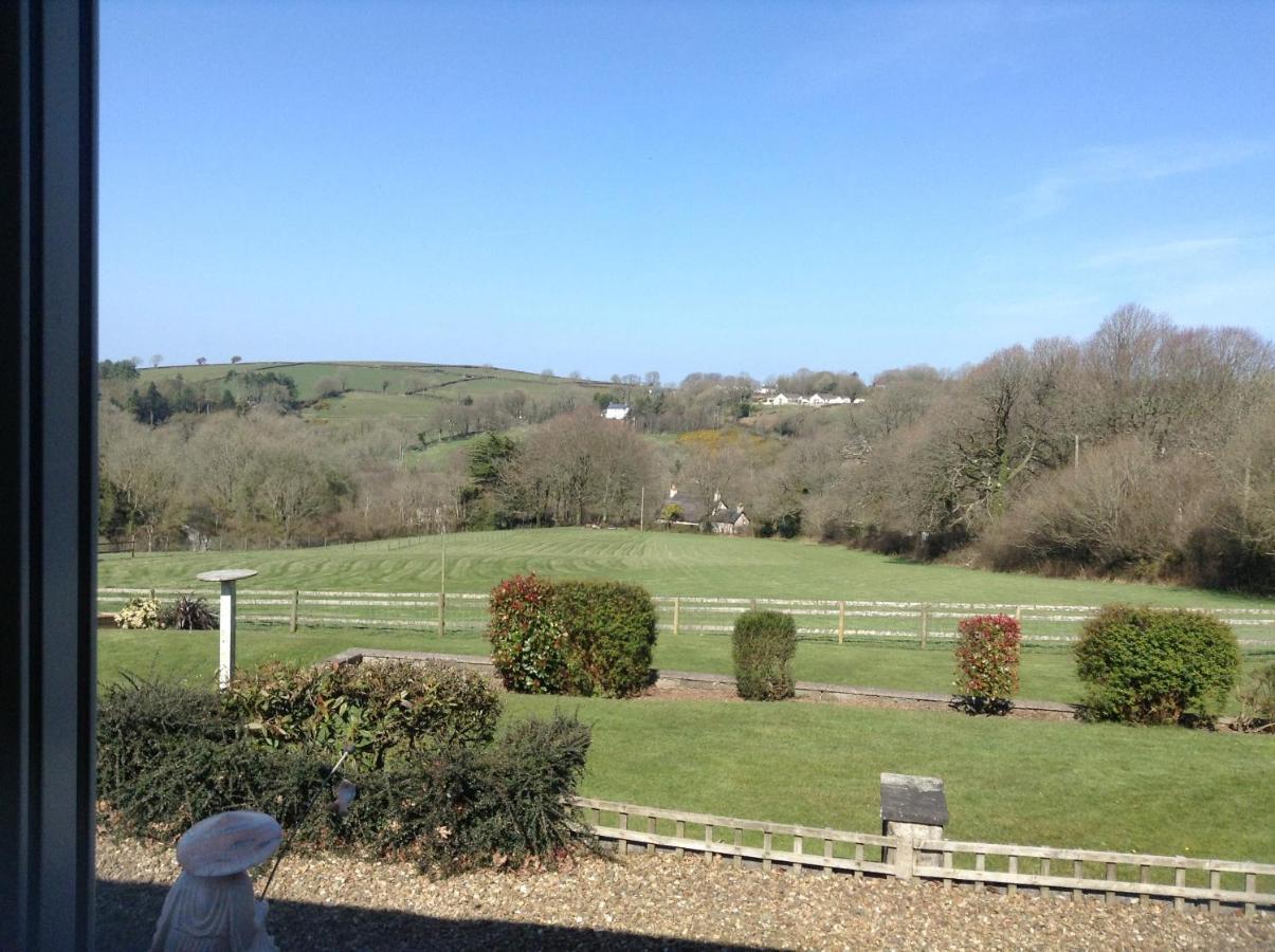3 Bed Cottage With Hot Tub & Near New Quay Wales Llandysul Zewnętrze zdjęcie